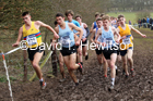 Mens under-20s, 2020 British Athletics Inter Counties Cross Country Champs., Prestwold Hall, Loughborough. Photo: David T. Hewitson/Sports for All Pics